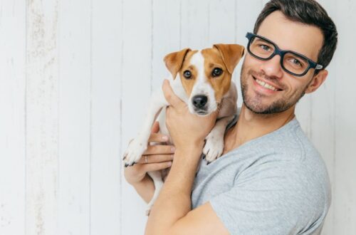 Scegli il tuo cane con il Test di Campbell