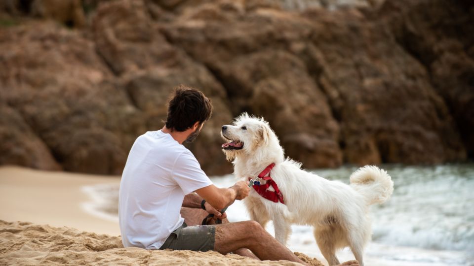 Un uomo gioca con un cane bianco sulla spiaggia, sorridendo felice.