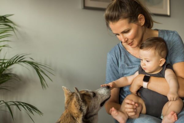 Una madre tiene in braccio un bambino mentre un cane si avvicina curioso.