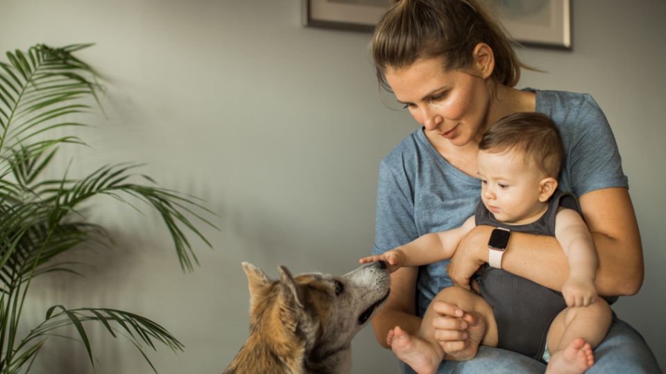 Non solo giochi: L’importanza del cane per lo sviluppo dell’intelligenza emotiva dei bambini. Una madre tiene in braccio un bambino mentre un cane si avvicina curioso.