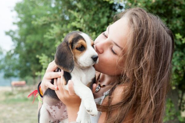 Una ragazza abbraccia un cucciolo di beagle, mostrando affetto.