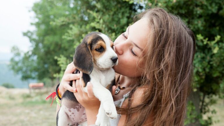 Una ragazza abbraccia un cucciolo di beagle, mostrando affetto.