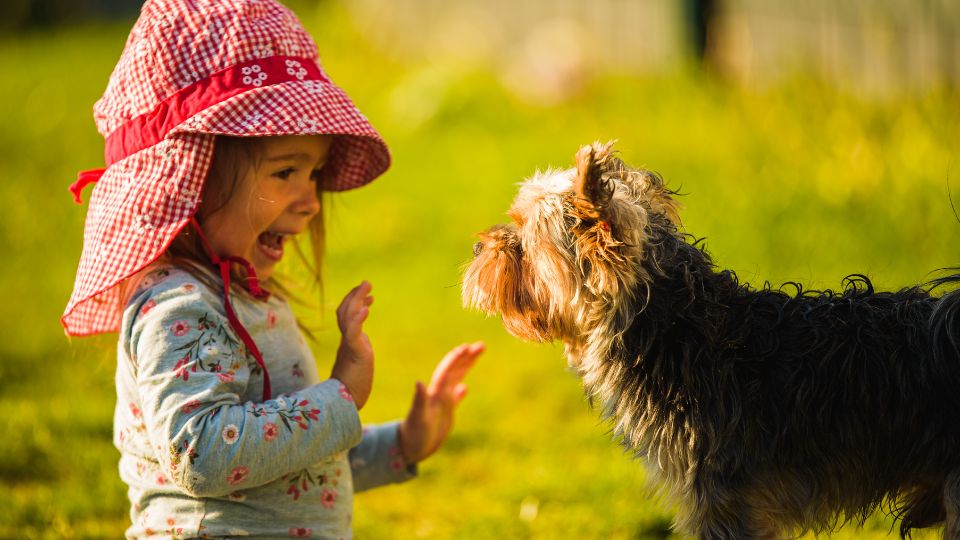 Una bambina sorride mentre interagisce con un cane in un prato verde.
