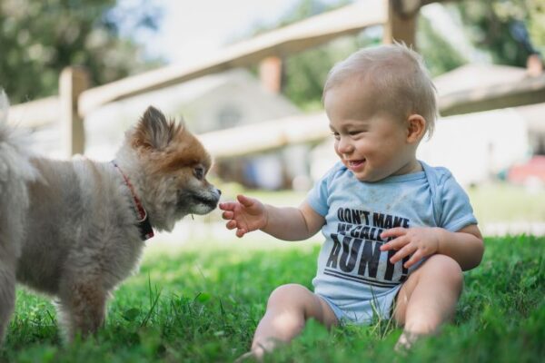 Un bambino sorride mentre gioca con un cane in un prato verde.