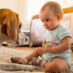 Un cane e un bambino giocano insieme sul tappeto, sorridendo e interagendo.
