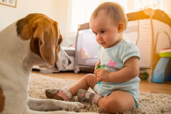 Un cane e un bambino giocano insieme sul tappeto, sorridendo e interagendo.