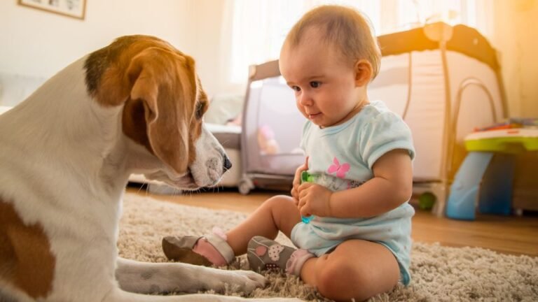 Un cane e un bambino giocano insieme sul tappeto, sorridendo e interagendo.