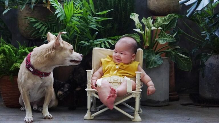 Un bambino sorridente seduto su una sedia accanto a un cane curioso in un ambiente verde.