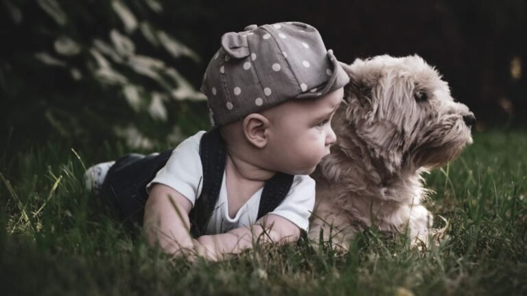 Un neonato in arrivo: Come preparare il cane al nuovo membro della famiglia.