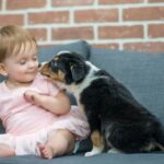 Bambina sorridente accarezza un cucciolo su un divano grigio.